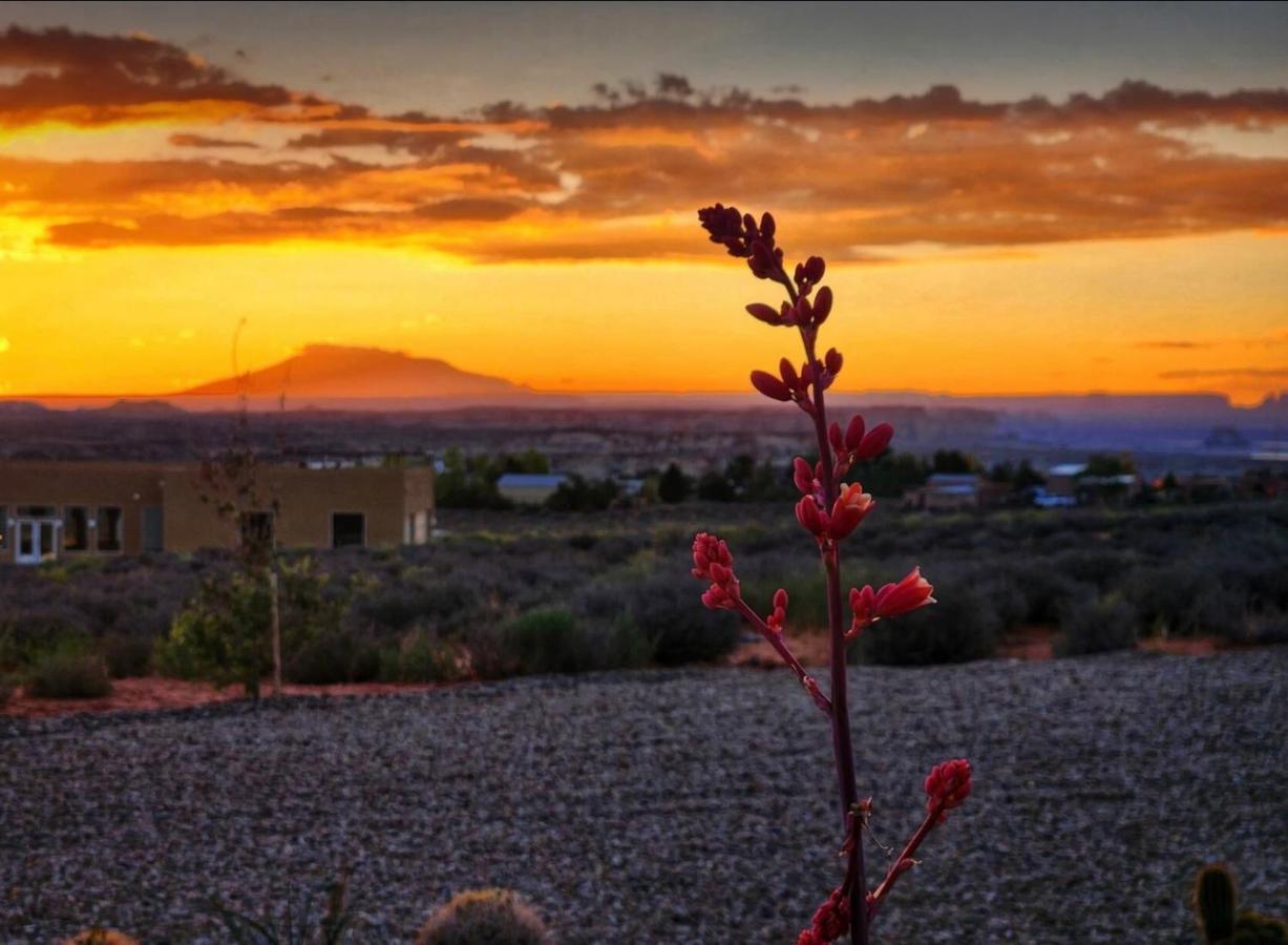 Page Arizona Border Town- Grand Serenity Room With Mesa Views Big Water Buitenkant foto